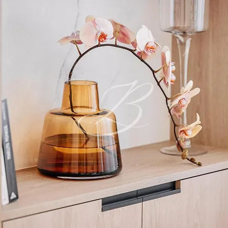 Le Mane - Haussmannien Centre Apartment *